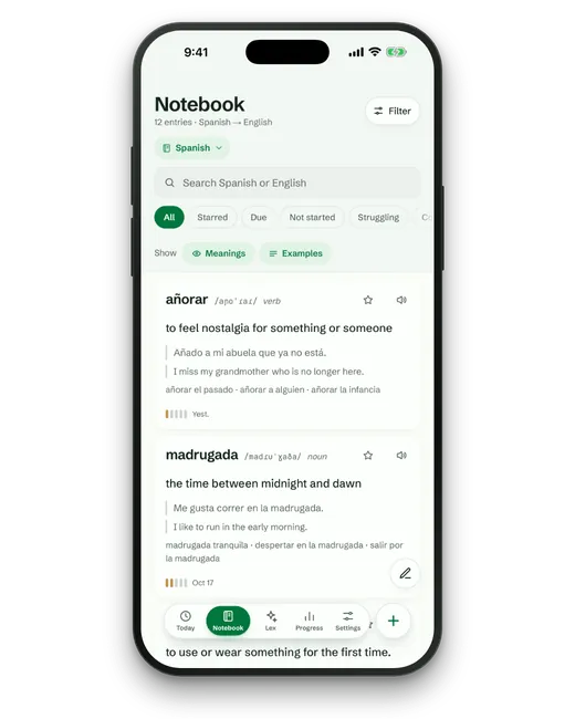 A Spanish to English notebook in Lexpad on an iPhone, 12 entries: añorar, to feel nostalgia for something or someone, and madrugada, the time between midnight and dawn, each with examples