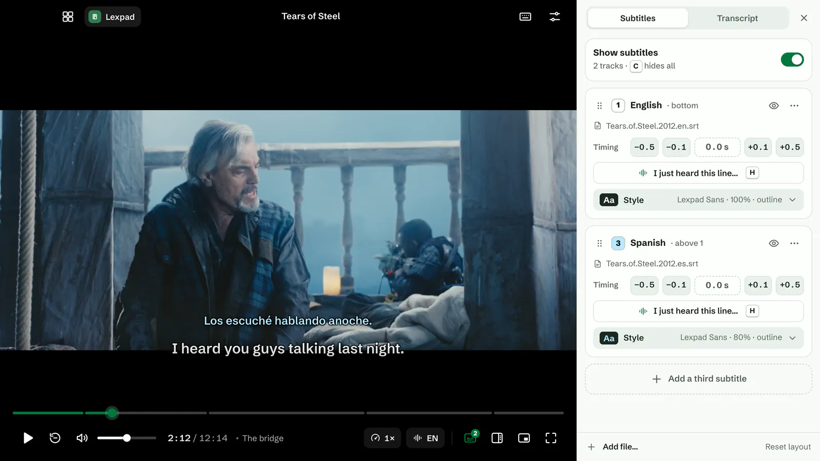 The Subtitles panel with font, size, colour, edge and place for each subtitle