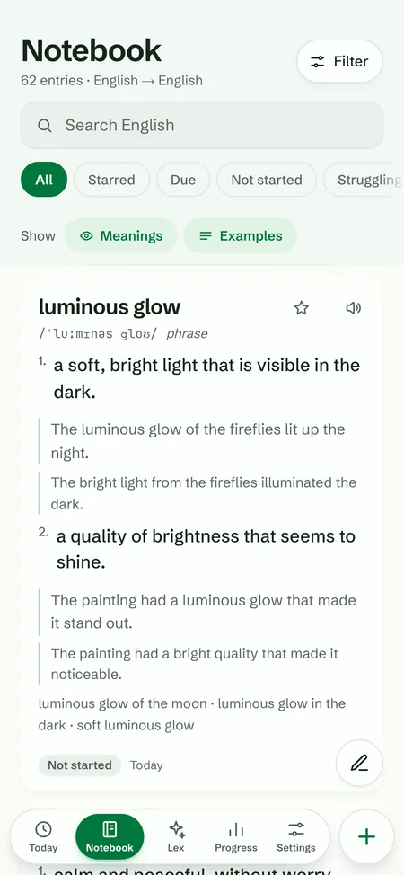 The notebook: 62 entries, English to English, with filters and the phrase luminous glow, its two meanings and examples